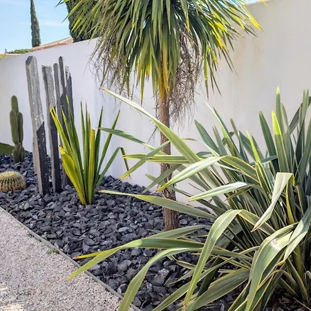 Boston Luxury With Pool And Cali Vibes Le Grau-dʼAgde