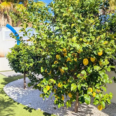 Villa Boston Le Grau-dʼAgde