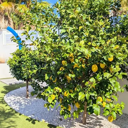 فيلة Boston Luxury With Pool And Cali Vibes *