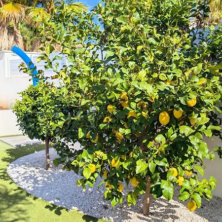 فيلة Boston Luxury With Pool And Cali Vibes *