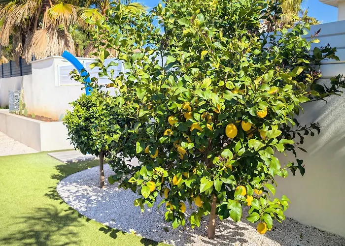 Villa Boston Luxury With Pool And Cali Vibes *